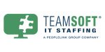 TeamSoft logo